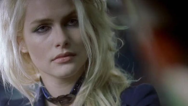 Love Your Female Neighbor! Love Your Female Neighbor!